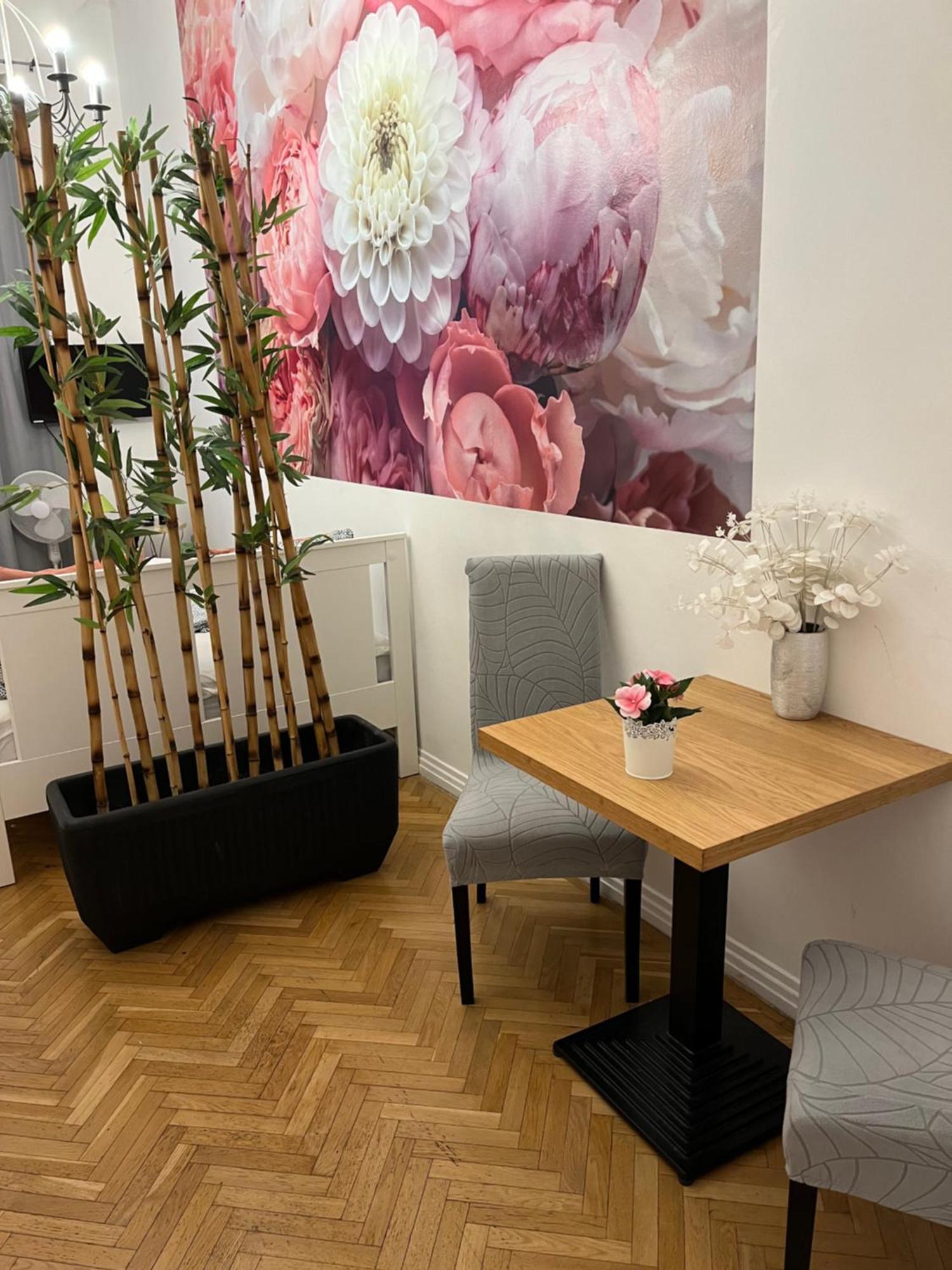 Apartment Millionrosesvintage Vaci Street Budapest
